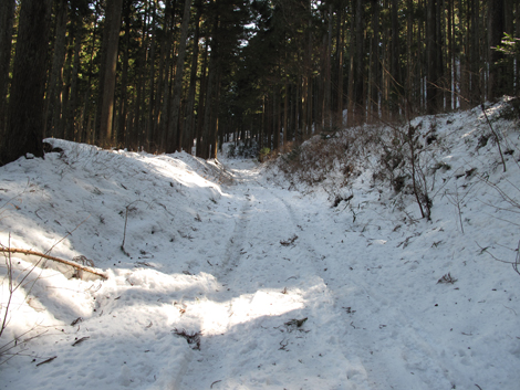 20180209hike (25)